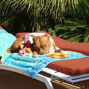 Meet your Posher, Terrie